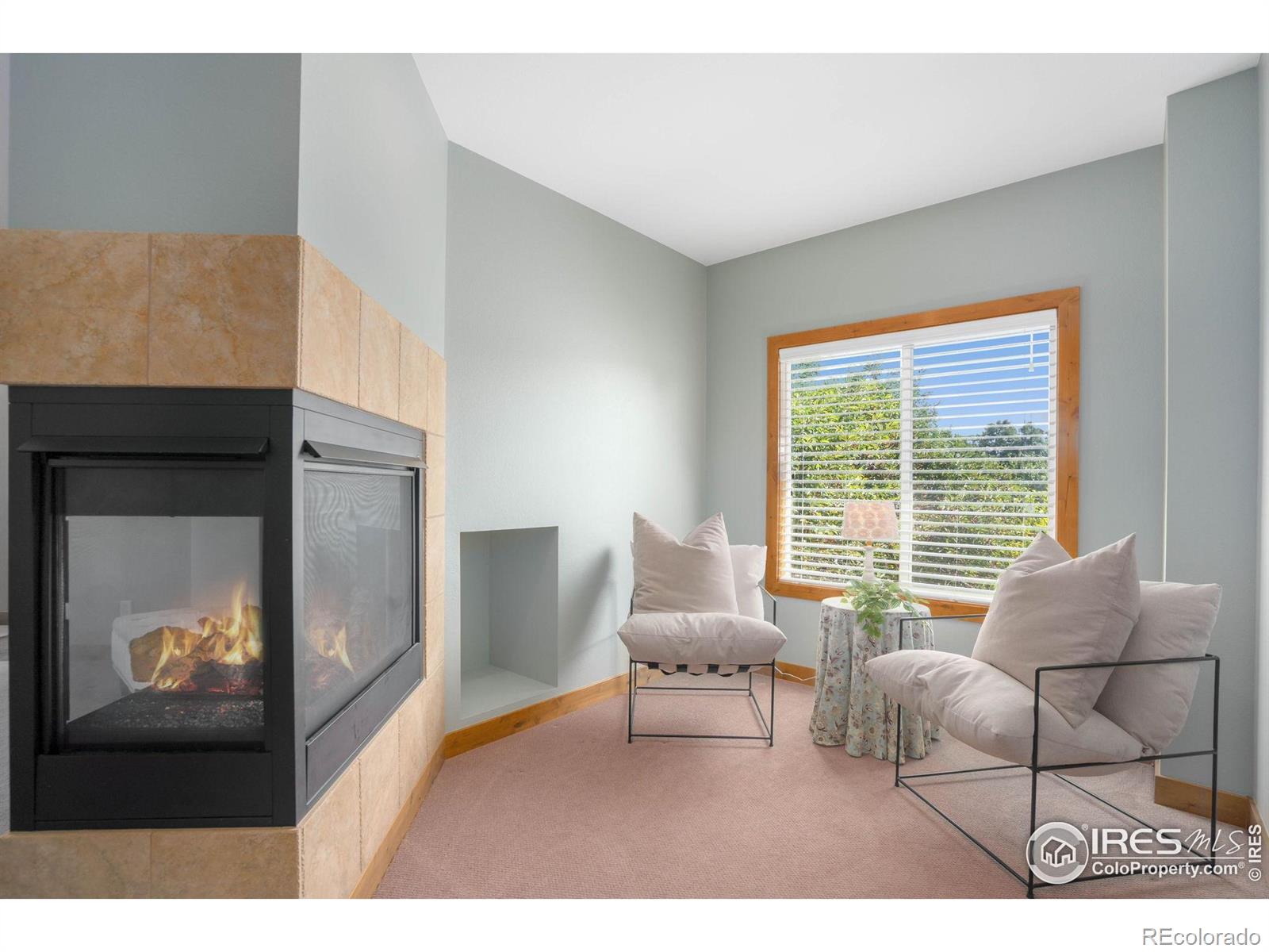 MLS Image #16 for 2602  southfield court,fort collins, Colorado