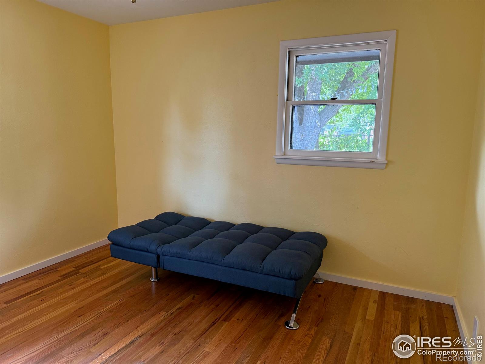 MLS Image #18 for 760  francis street,longmont, Colorado