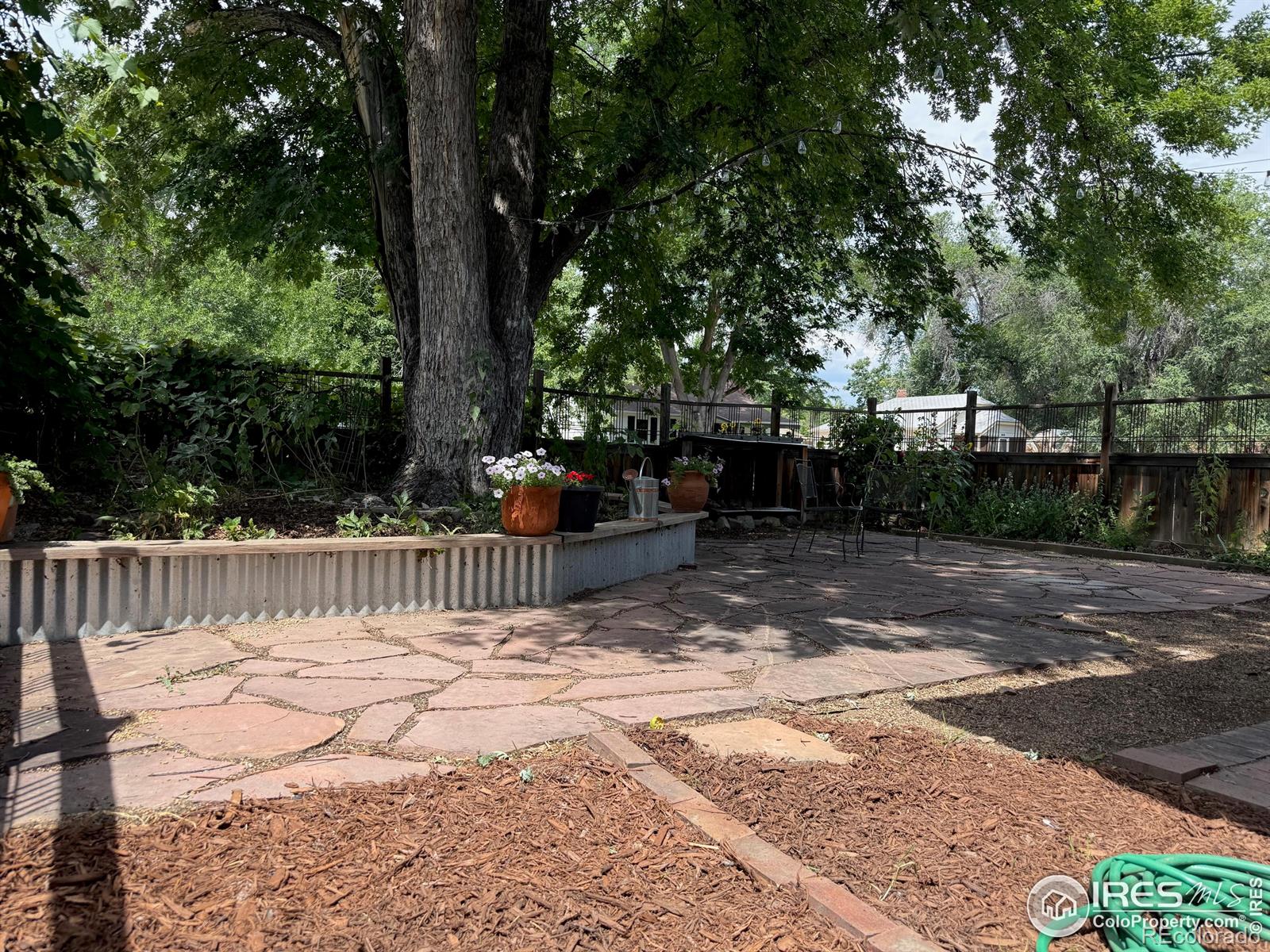MLS Image #35 for 760  francis street,longmont, Colorado