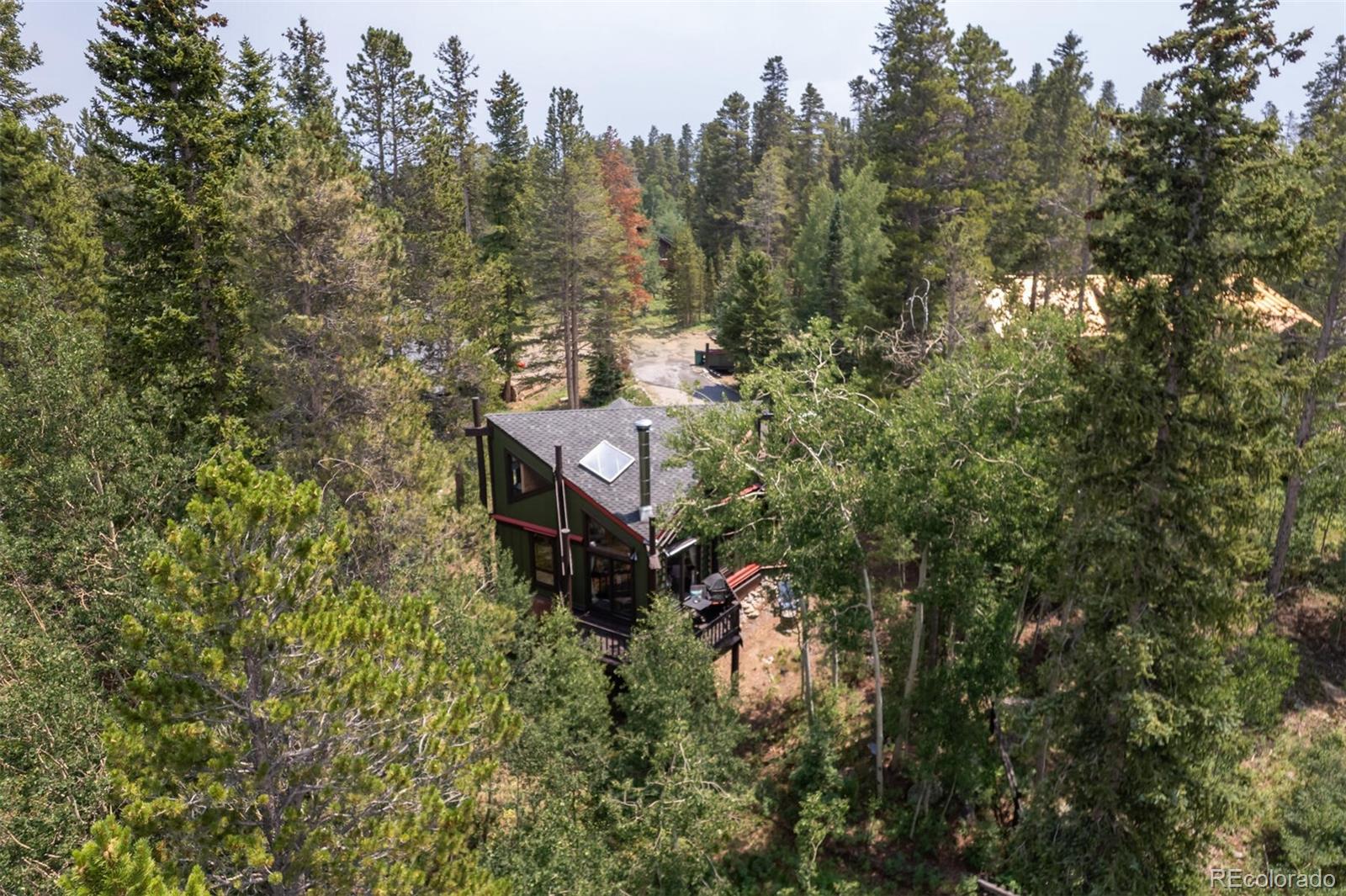 MLS Image #17 for 163  lone hand way,breckenridge, Colorado