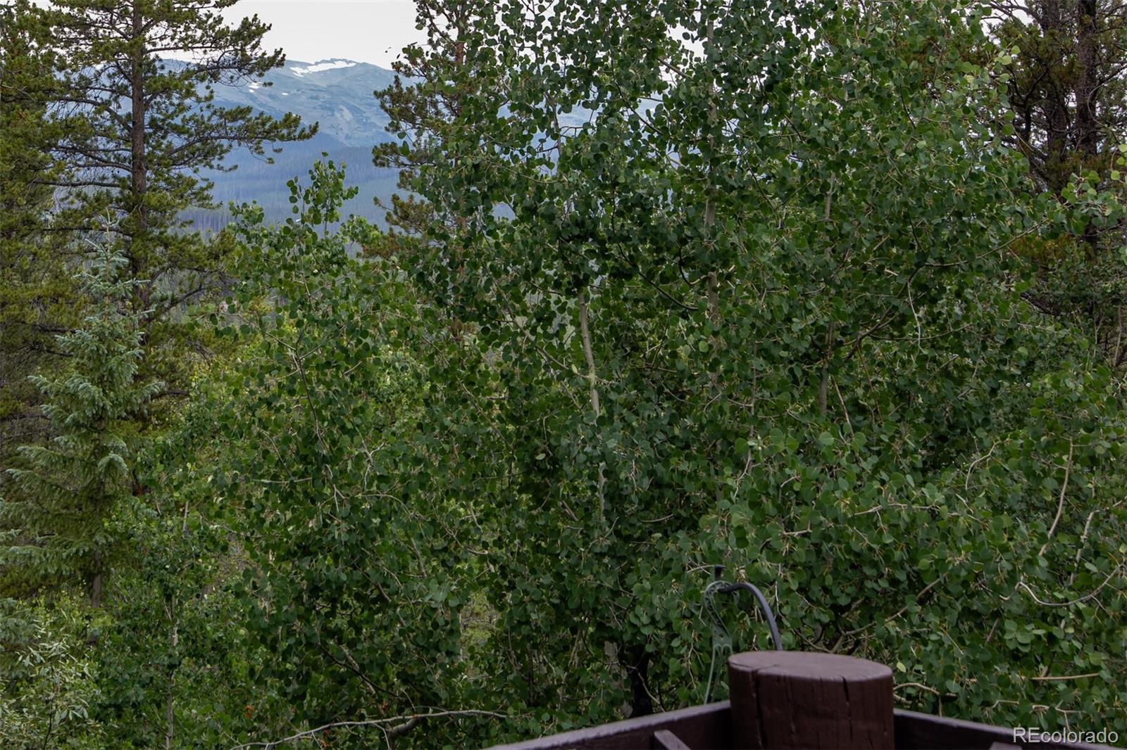 MLS Image #37 for 163  lone hand way,breckenridge, Colorado