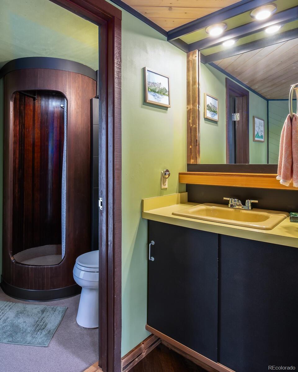 MLS Image #6 for 163  lone hand way,breckenridge, Colorado