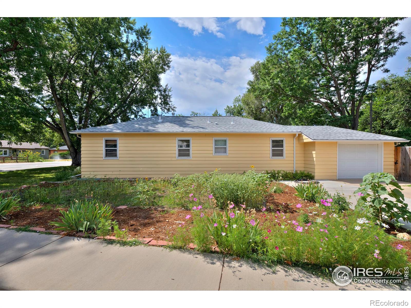 MLS Image #2 for 1157  gay street,longmont, Colorado