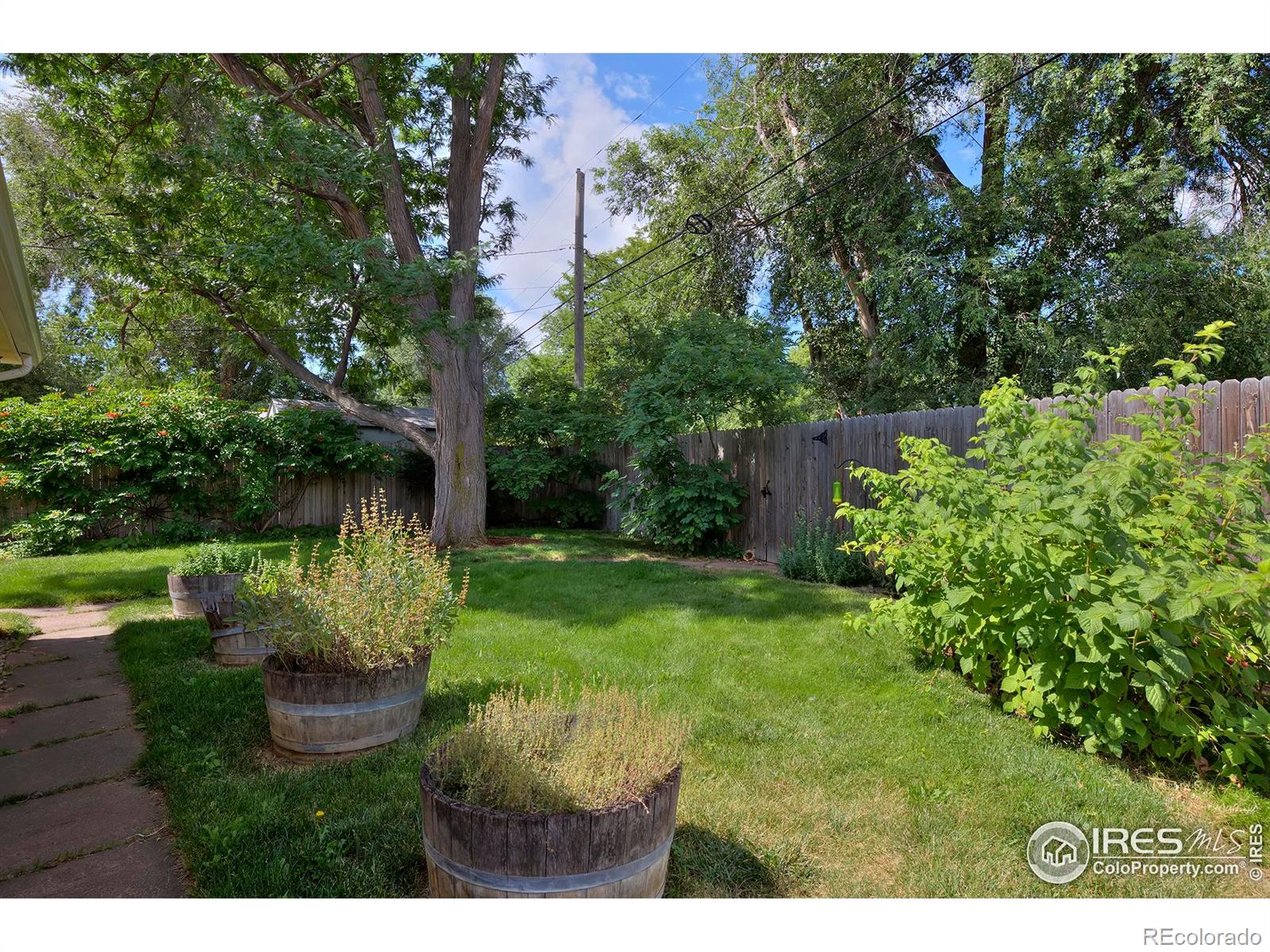 MLS Image #27 for 1157  gay street,longmont, Colorado