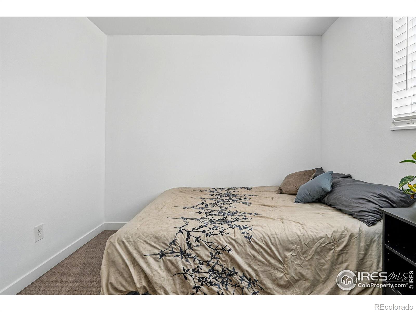 MLS Image #20 for 7996  chase circle,arvada, Colorado