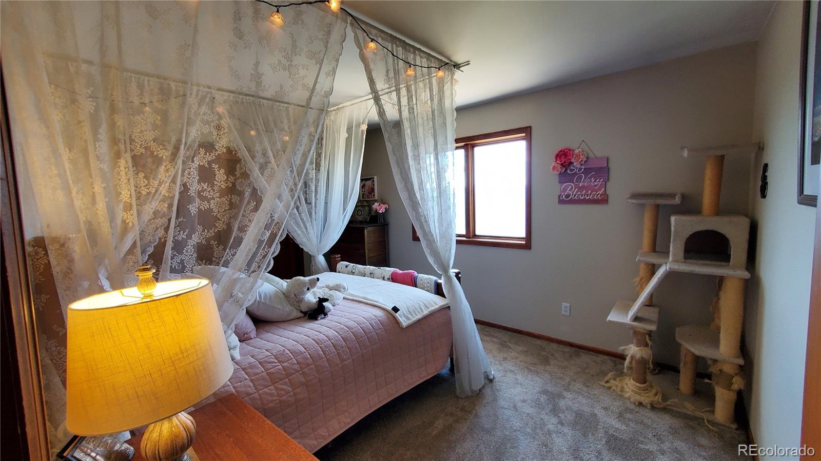 MLS Image #26 for 979  alpine way,idaho springs, Colorado