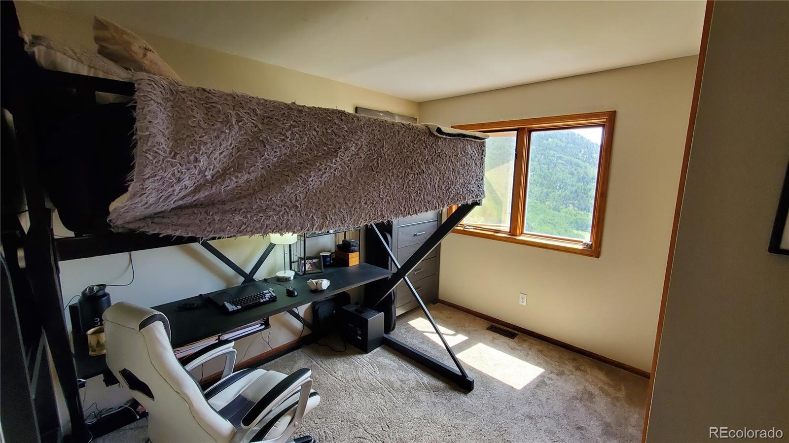MLS Image #29 for 979  alpine way,idaho springs, Colorado