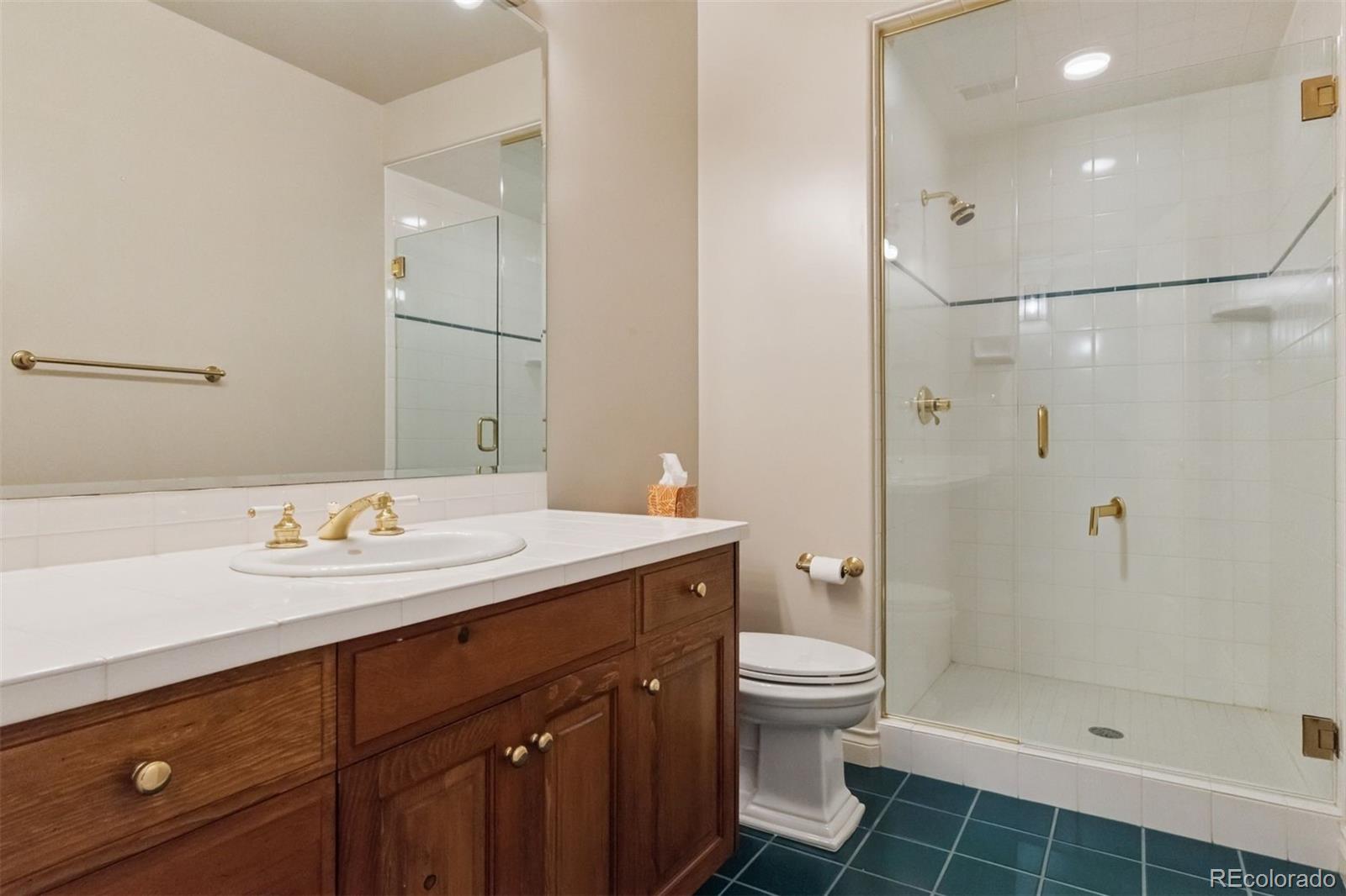 MLS Image #33 for 337  tamasoa place,castle rock, Colorado