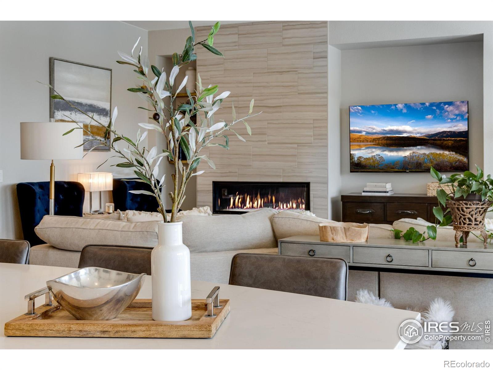 MLS Image #7 for 7055  lightning court,timnath, Colorado