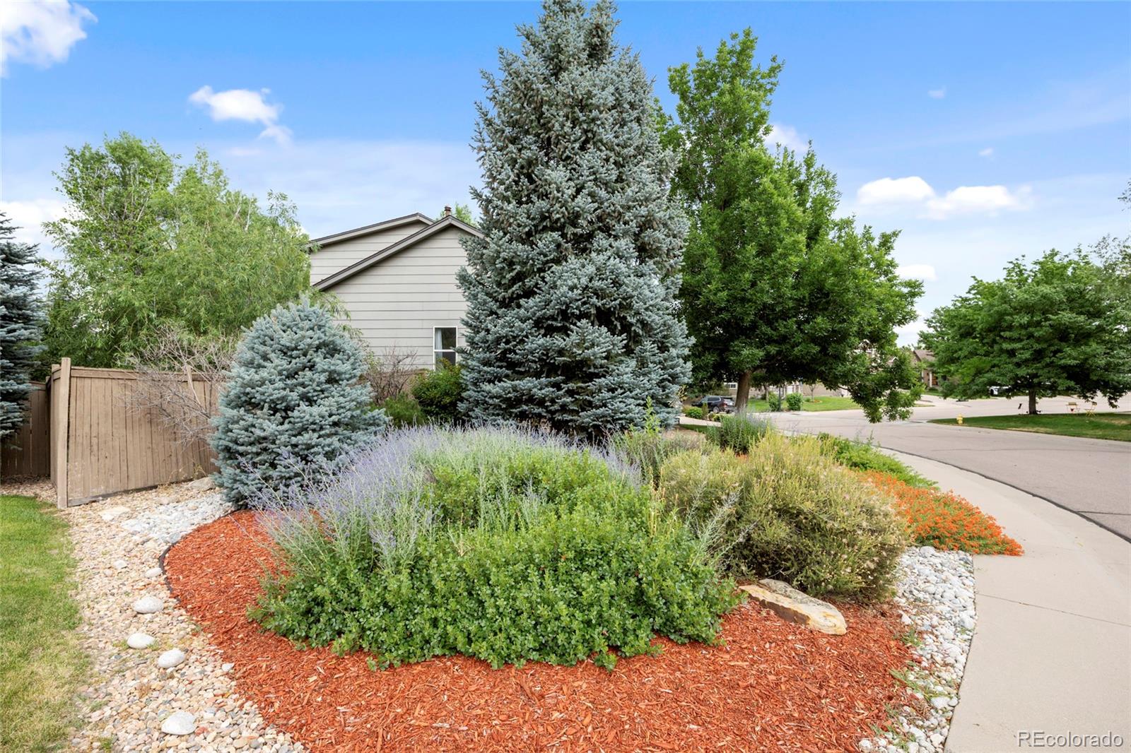 MLS Image #7 for 5045  stonecrop circle,castle rock, Colorado