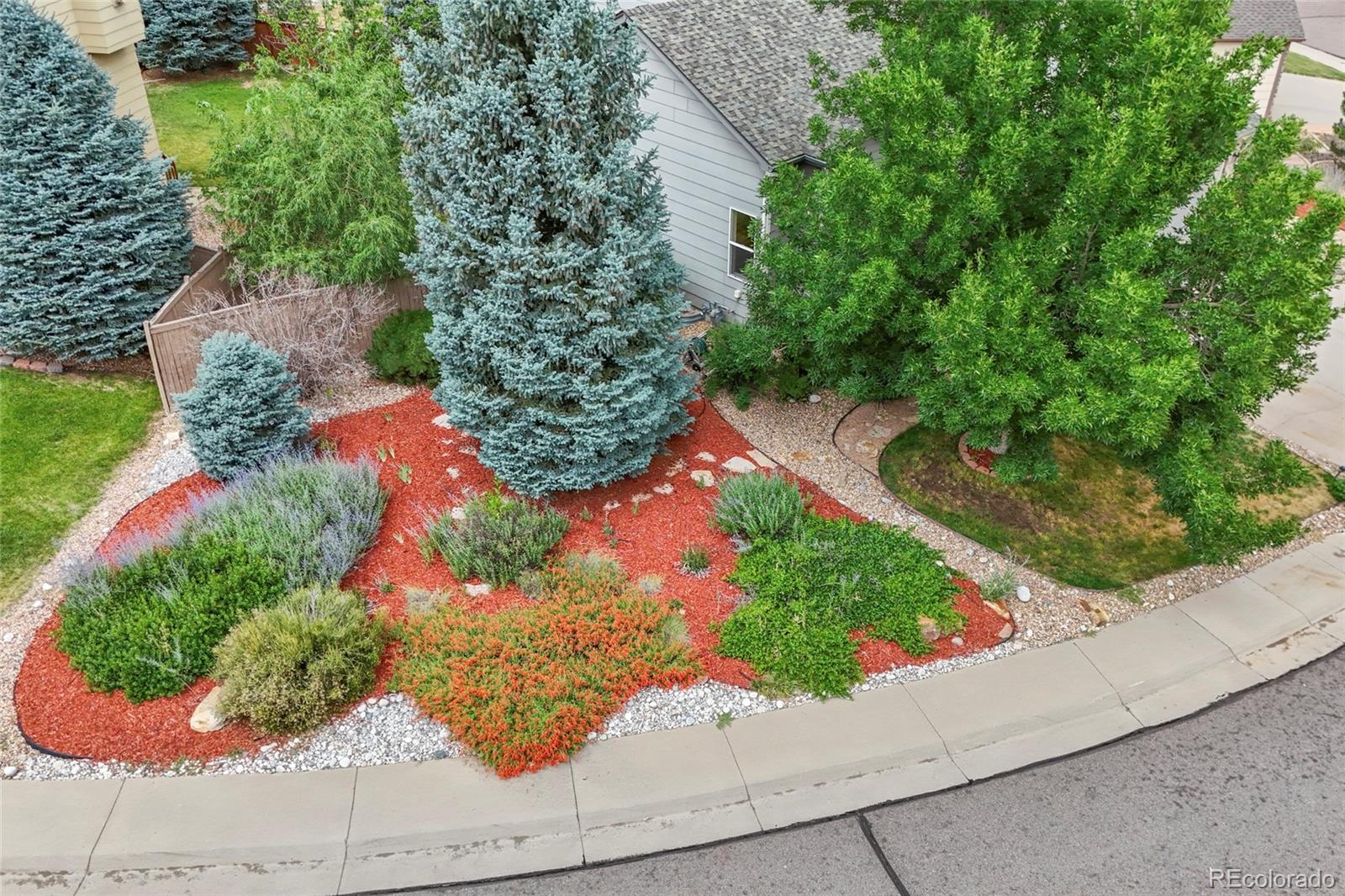 MLS Image #8 for 5045  stonecrop circle,castle rock, Colorado