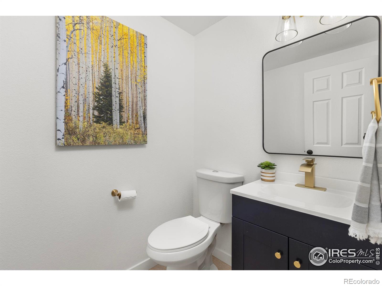 MLS Image #15 for 1070  northridge drive,erie, Colorado