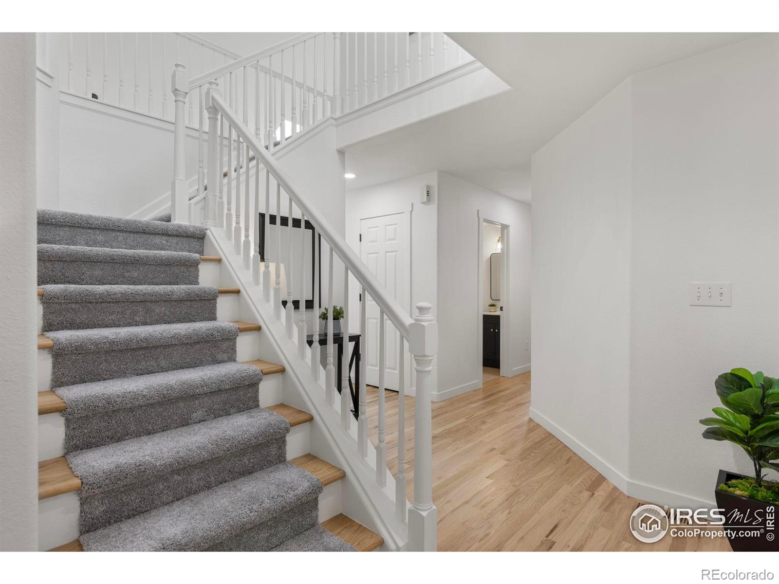 MLS Image #3 for 1070  northridge drive,erie, Colorado