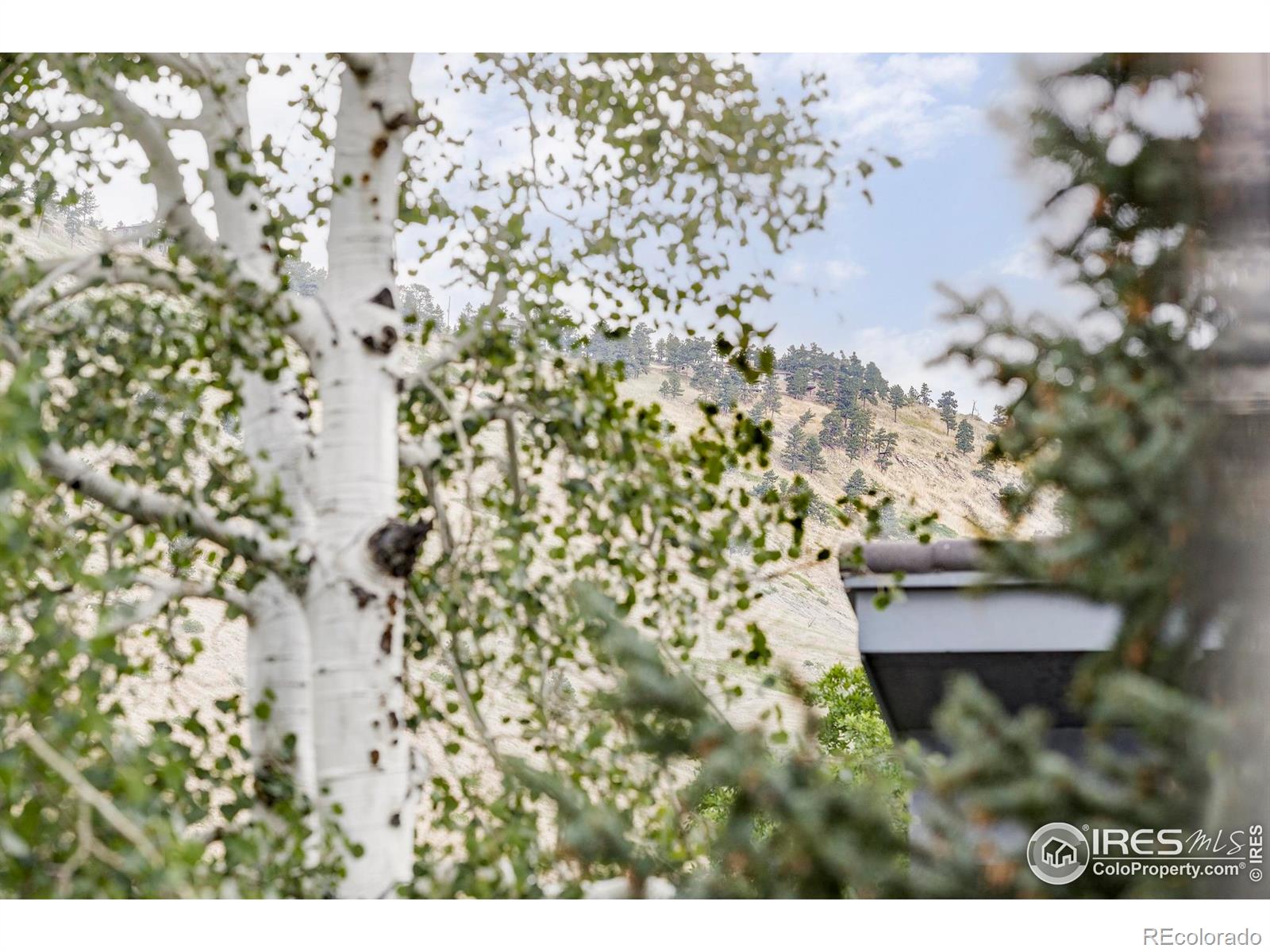 MLS Image #17 for 3865  newport lane,boulder, Colorado