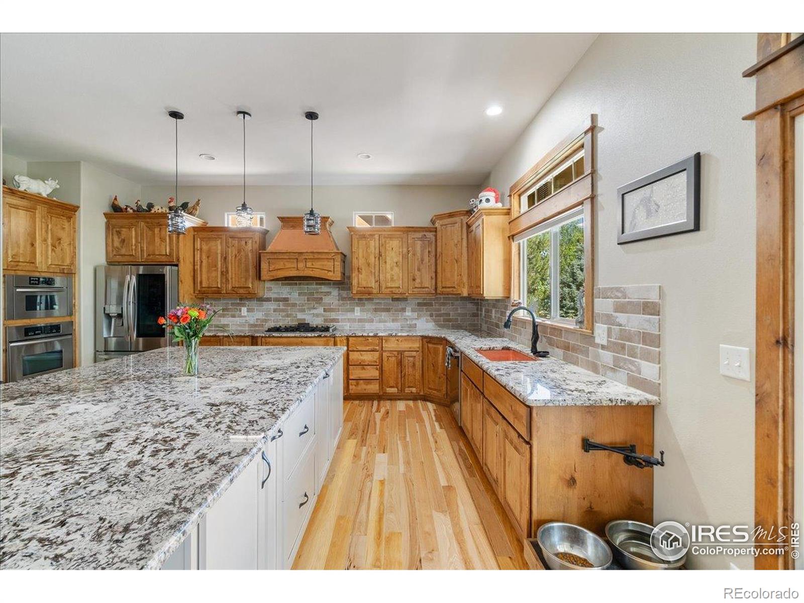 MLS Image #10 for 37054  soaring eagle circle,severance, Colorado