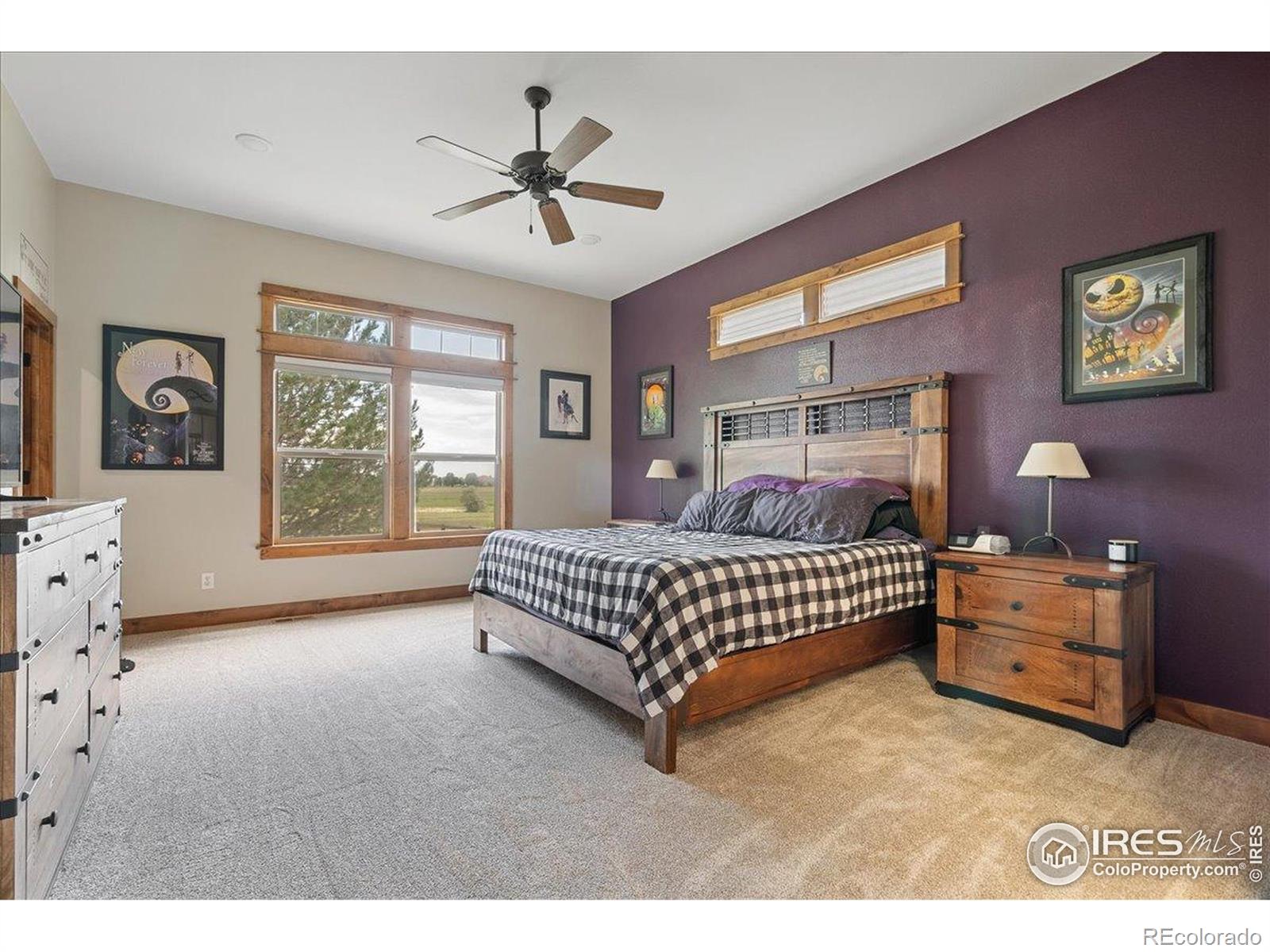MLS Image #15 for 37054  soaring eagle circle,severance, Colorado
