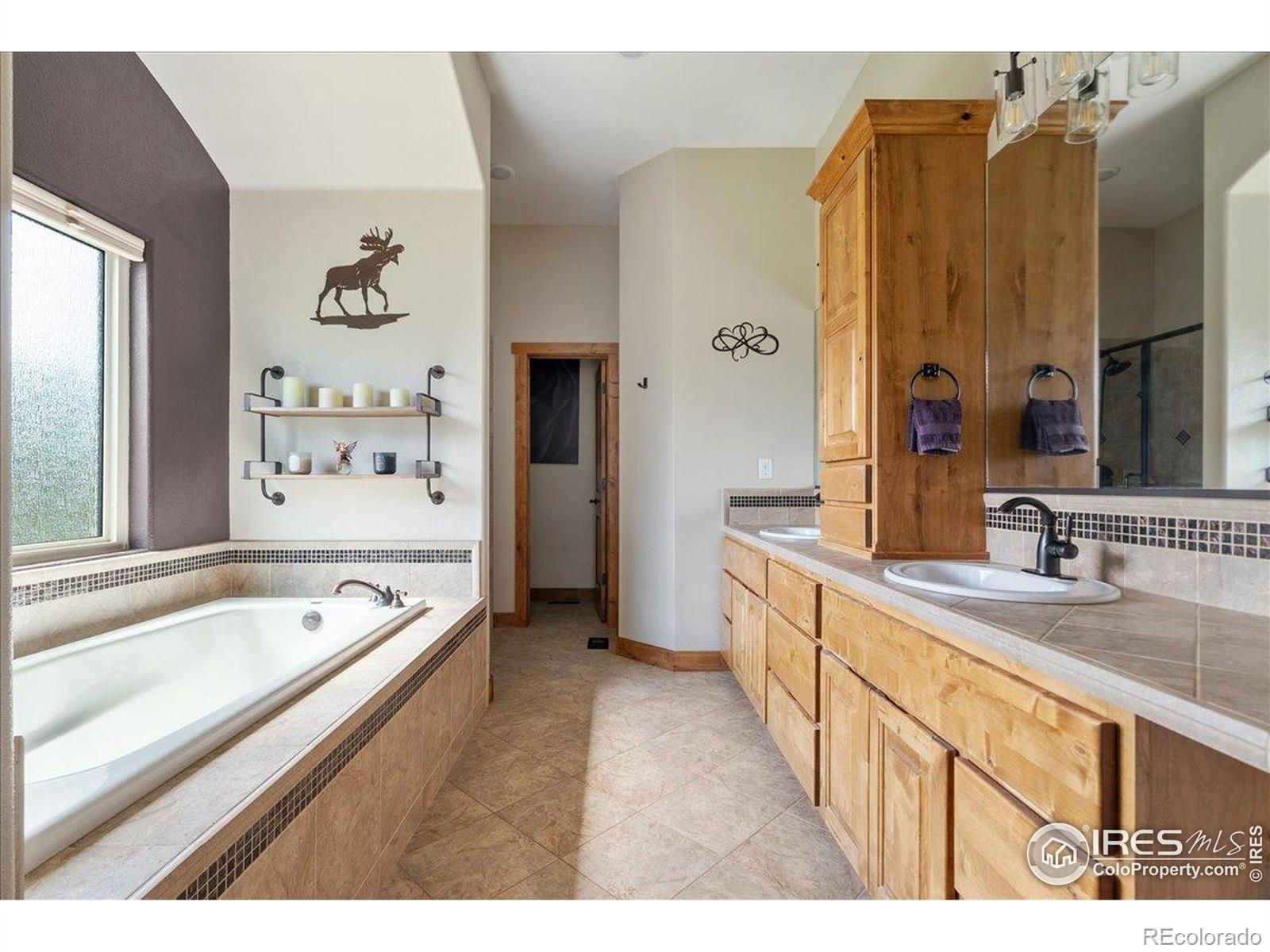 MLS Image #18 for 37054  soaring eagle circle,severance, Colorado