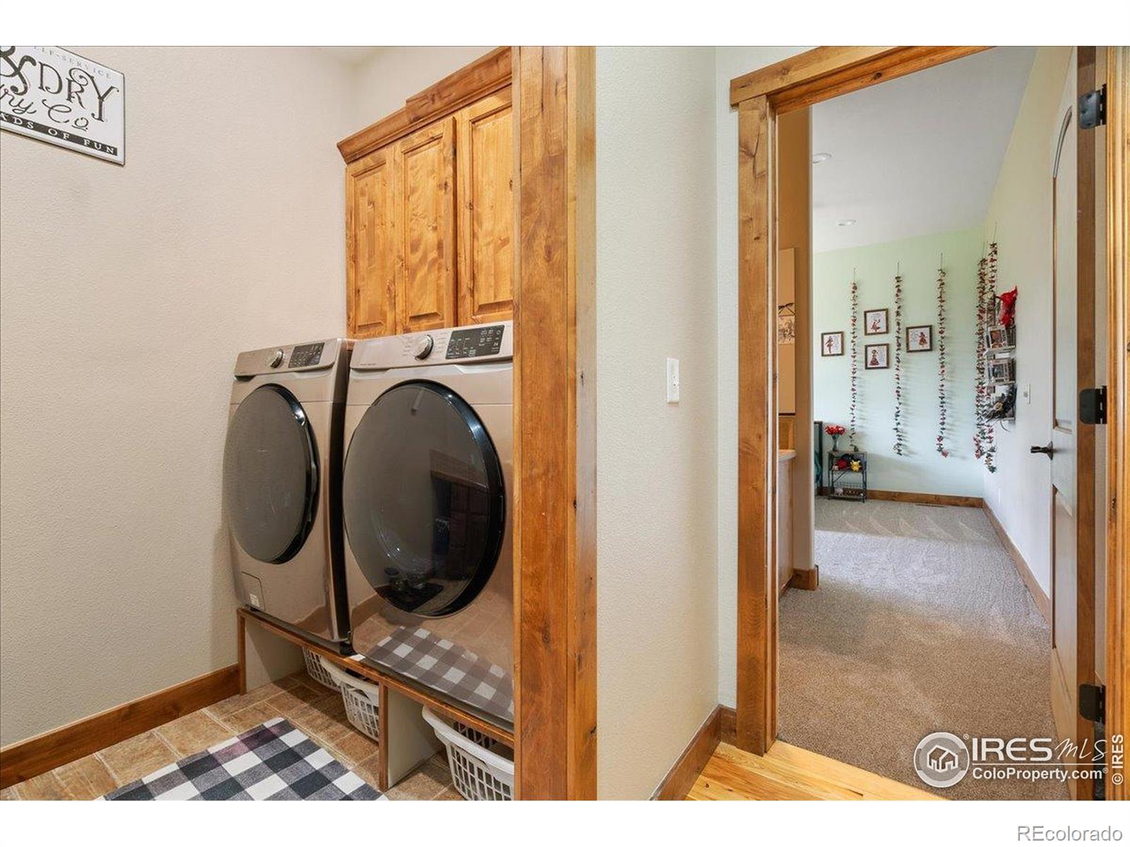 MLS Image #20 for 37054  soaring eagle circle,severance, Colorado