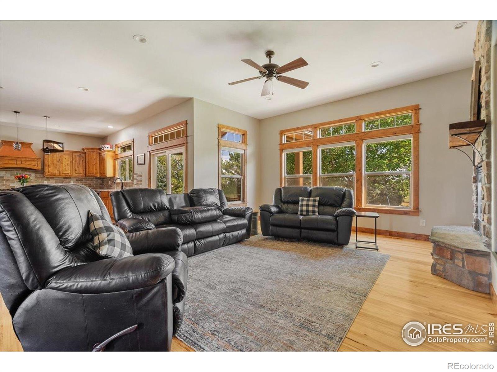 MLS Image #6 for 37054  soaring eagle circle,severance, Colorado