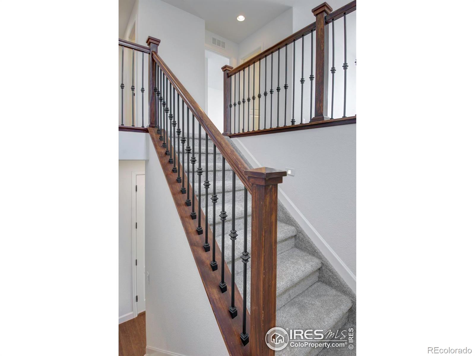 MLS Image #18 for 1416  monroe court,longmont, Colorado