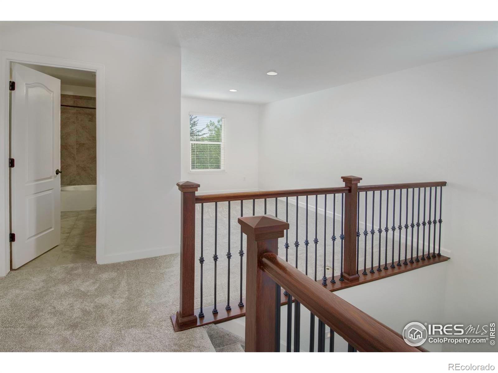 MLS Image #19 for 1416  monroe court,longmont, Colorado