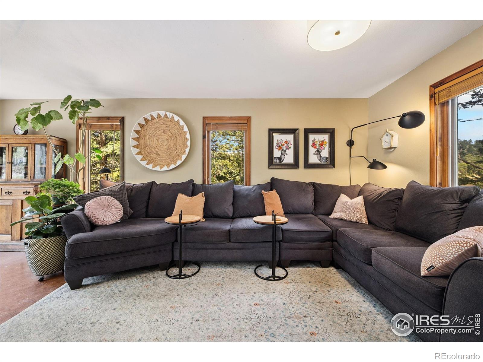 MLS Image #6 for 419  whispering pines drive,estes park, Colorado