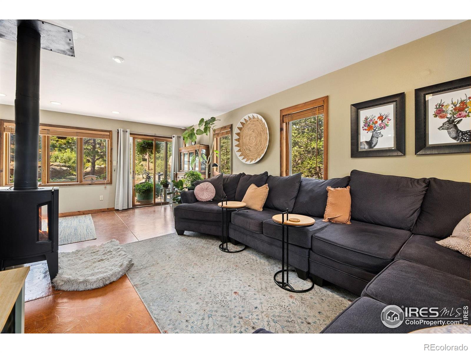 MLS Image #7 for 419  whispering pines drive,estes park, Colorado