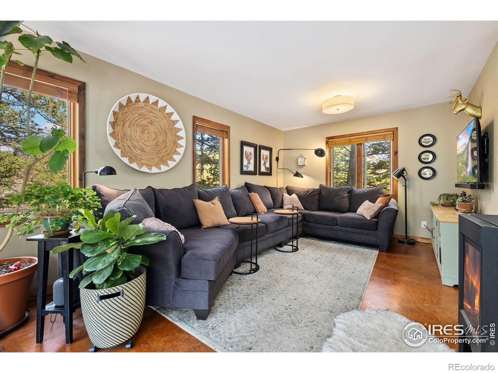 MLS Image #8 for 419  whispering pines drive,estes park, Colorado