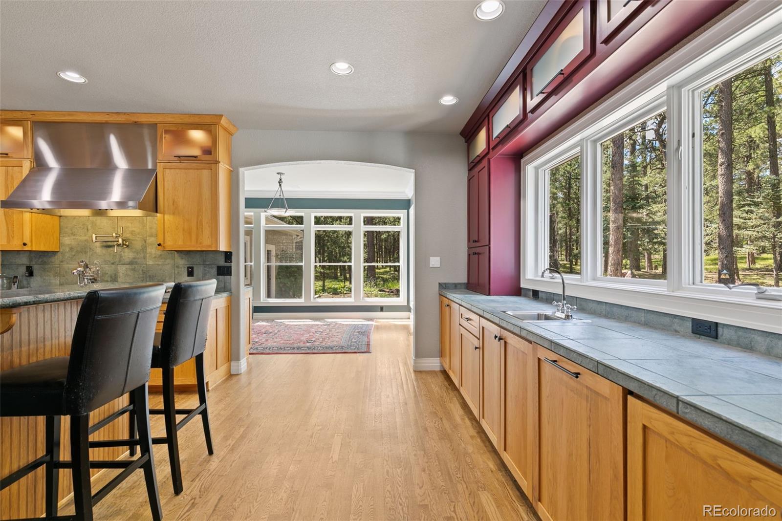 MLS Image #15 for 20088  wissler ranch road,colorado springs, Colorado