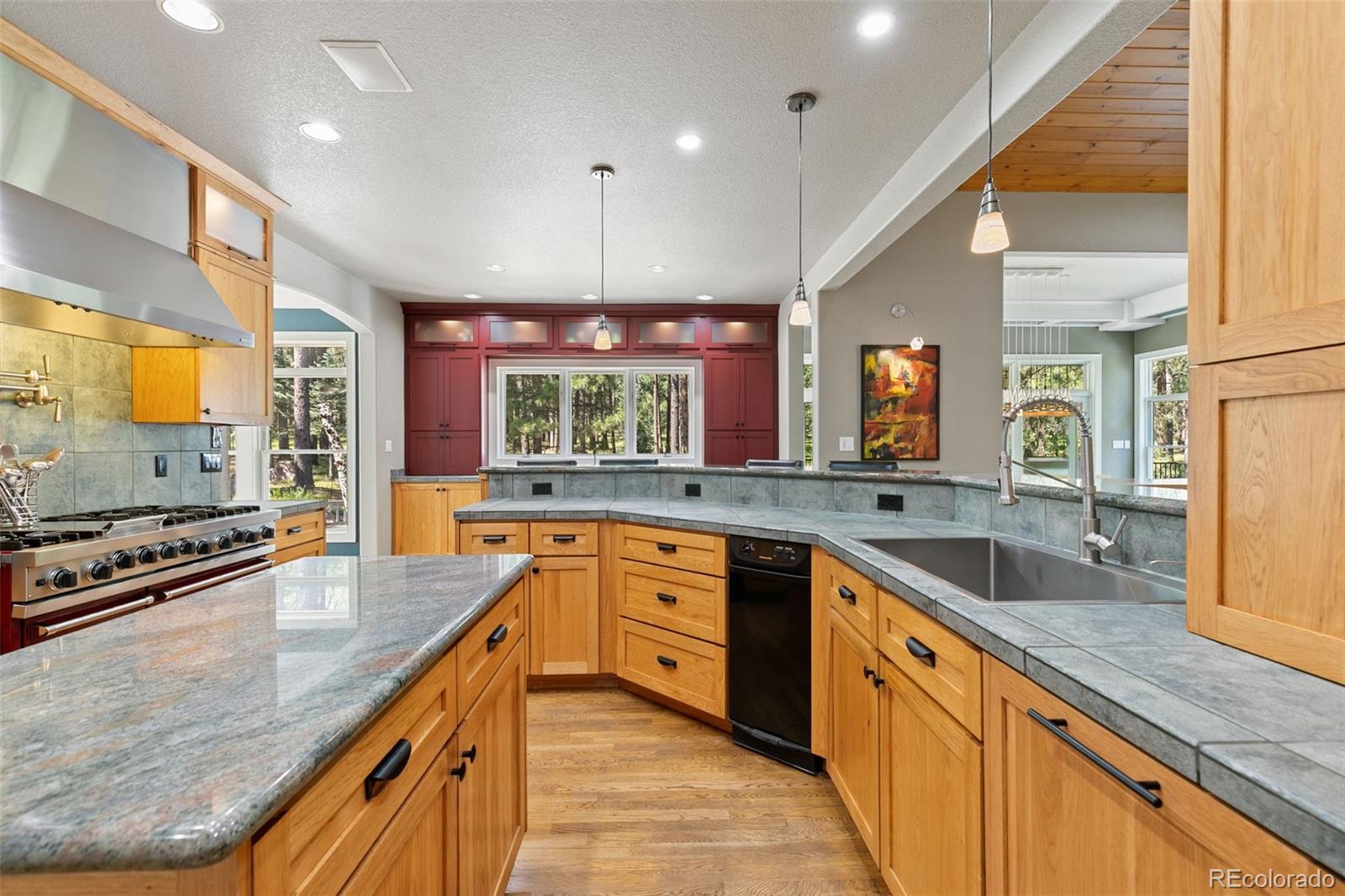 MLS Image #21 for 20088  wissler ranch road,colorado springs, Colorado