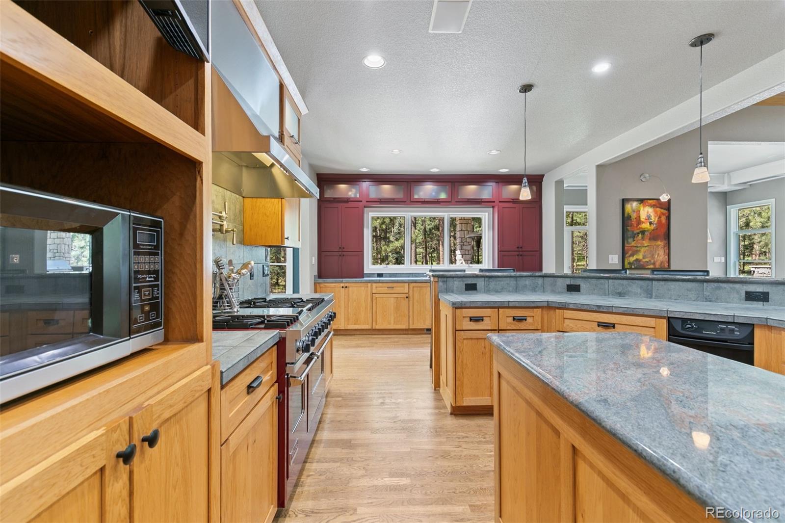 MLS Image #22 for 20088  wissler ranch road,colorado springs, Colorado