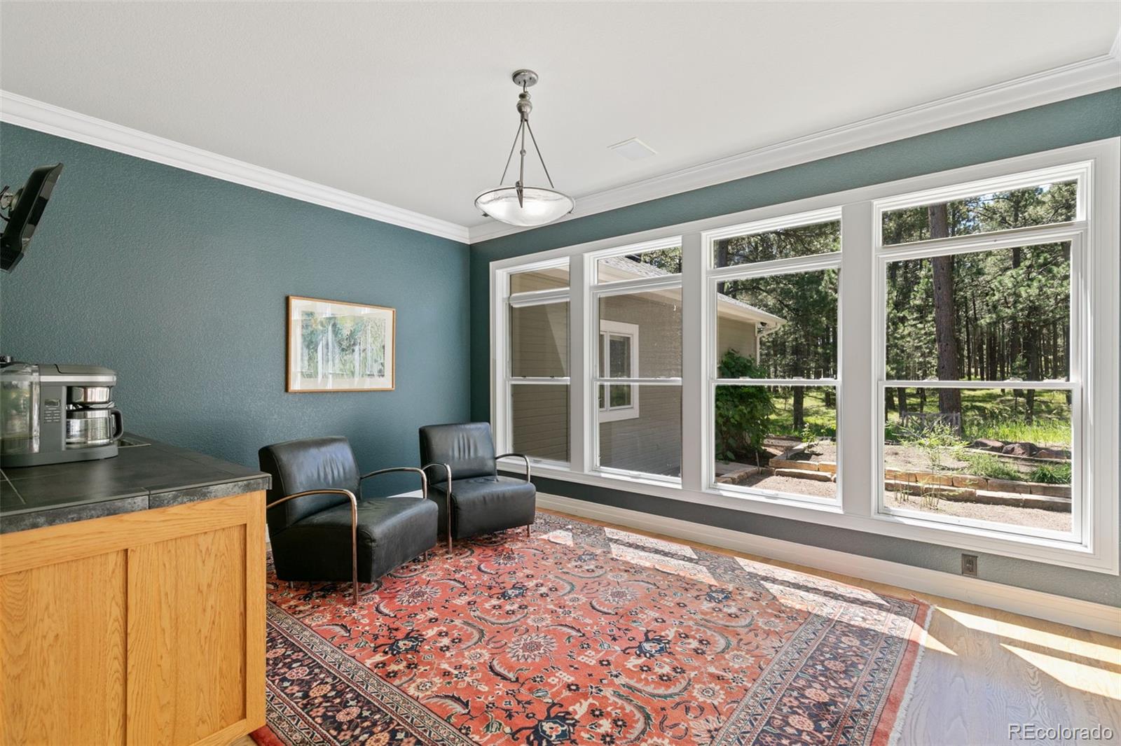 MLS Image #23 for 20088  wissler ranch road,colorado springs, Colorado
