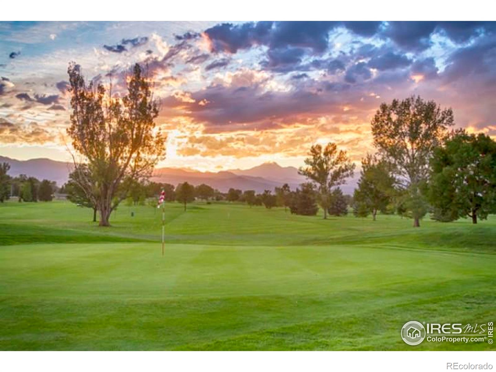 MLS Image #31 for 115  baylor drive,longmont, Colorado