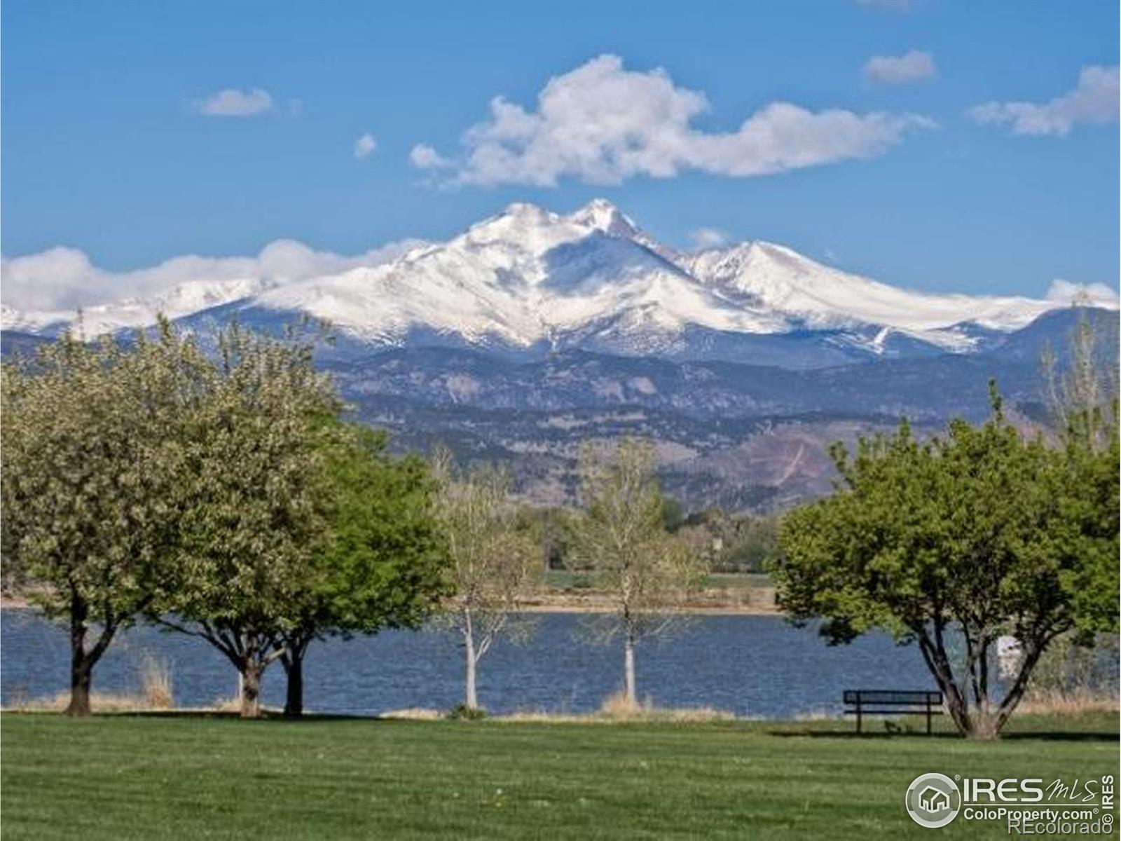 MLS Image #32 for 115  baylor drive,longmont, Colorado