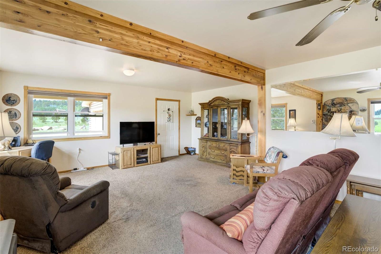 MLS Image #13 for 2134  homestake place,florissant, Colorado