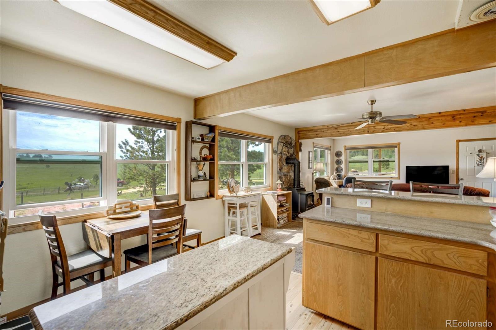 MLS Image #18 for 2134  homestake place,florissant, Colorado