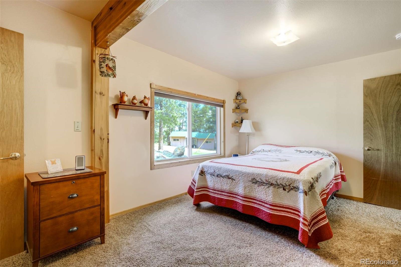 MLS Image #22 for 2134  homestake place,florissant, Colorado