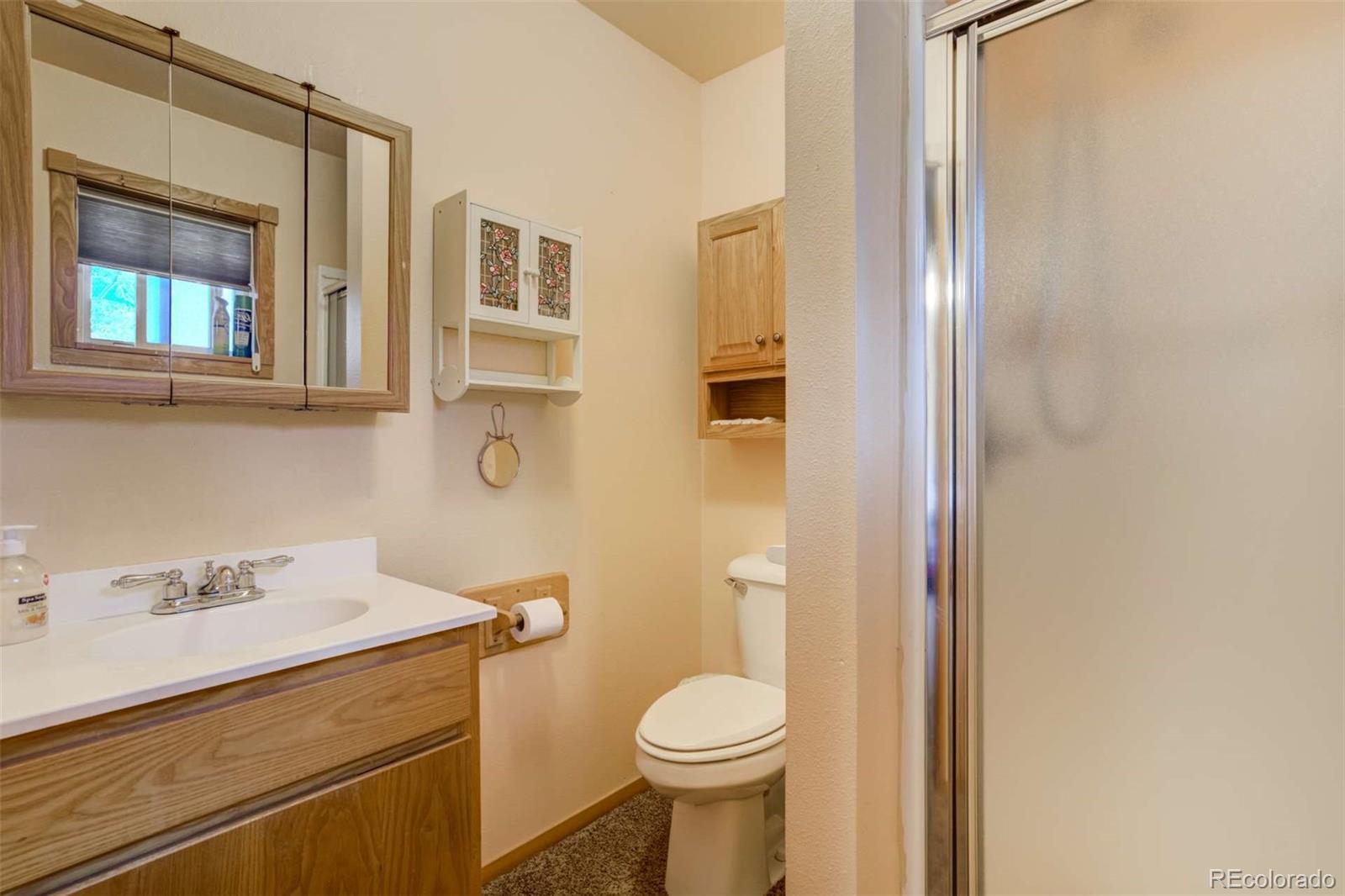 MLS Image #24 for 2134  homestake place,florissant, Colorado