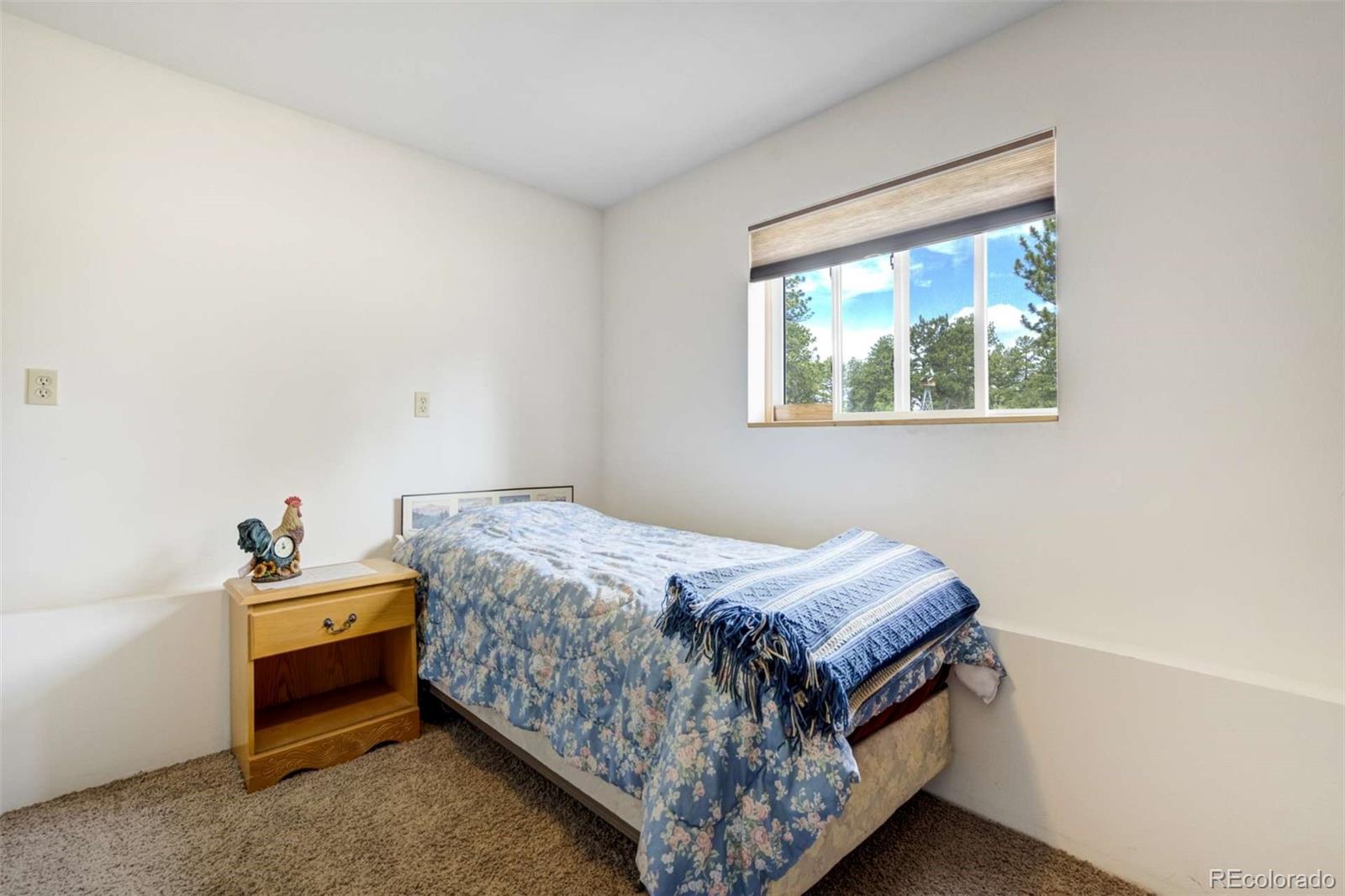 MLS Image #29 for 2134  homestake place,florissant, Colorado