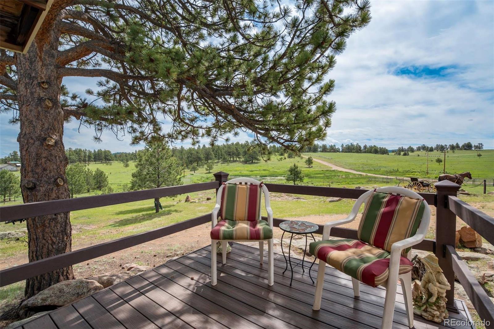 MLS Image #34 for 2134  homestake place,florissant, Colorado