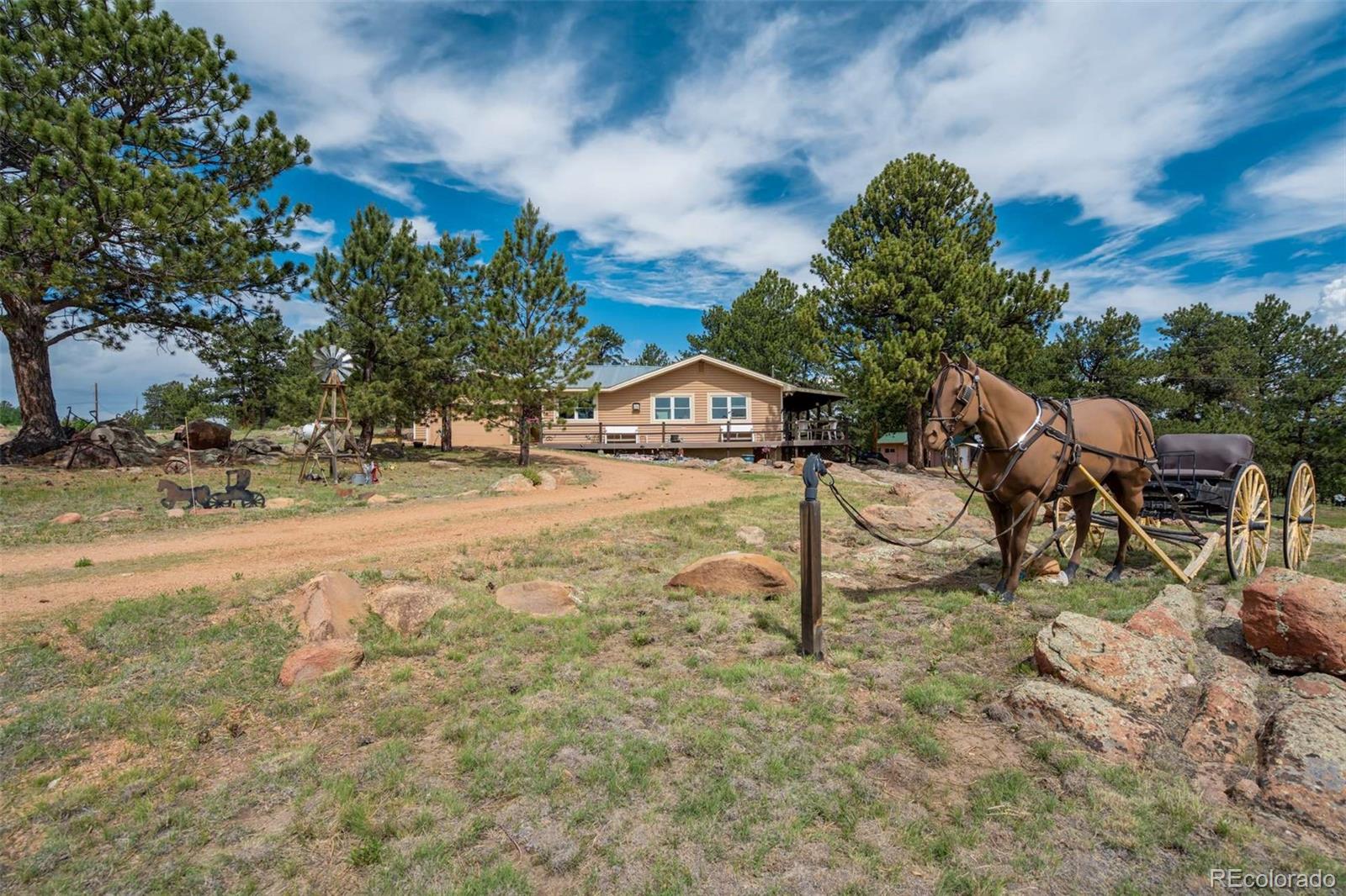 MLS Image #4 for 2134  homestake place,florissant, Colorado