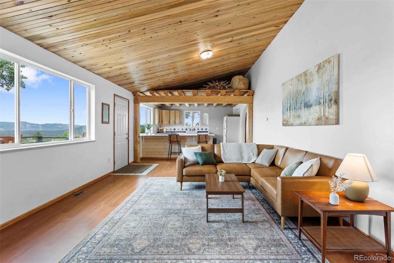 MLS Image #10 for 616 s pine drive,bailey, Colorado