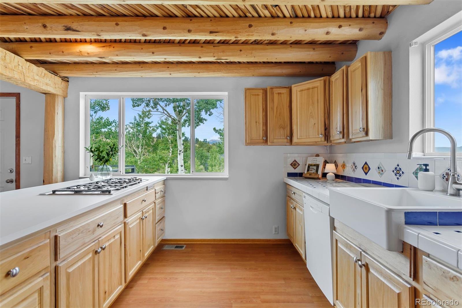MLS Image #12 for 616 s pine drive,bailey, Colorado
