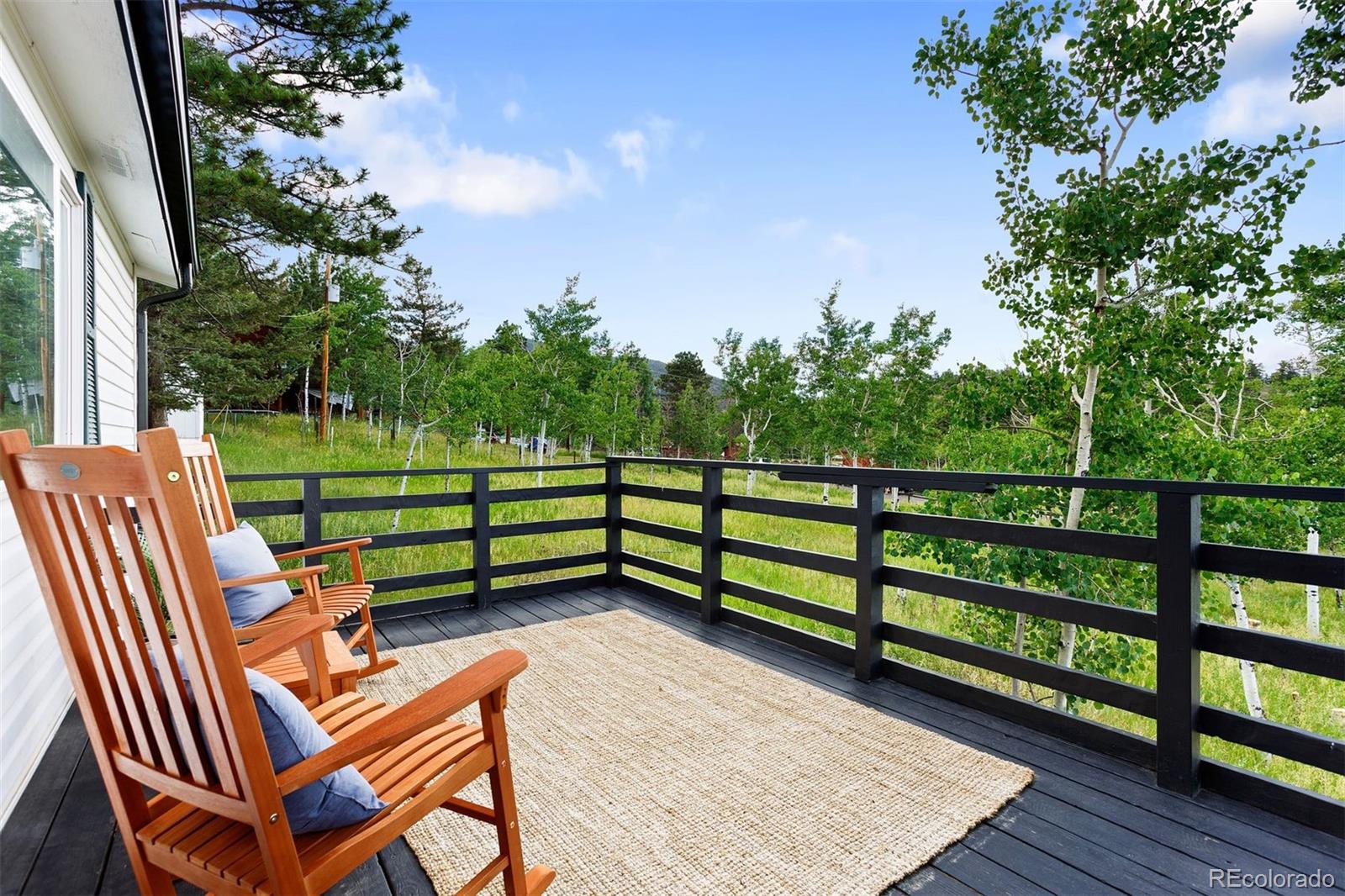 MLS Image #13 for 616 s pine drive,bailey, Colorado