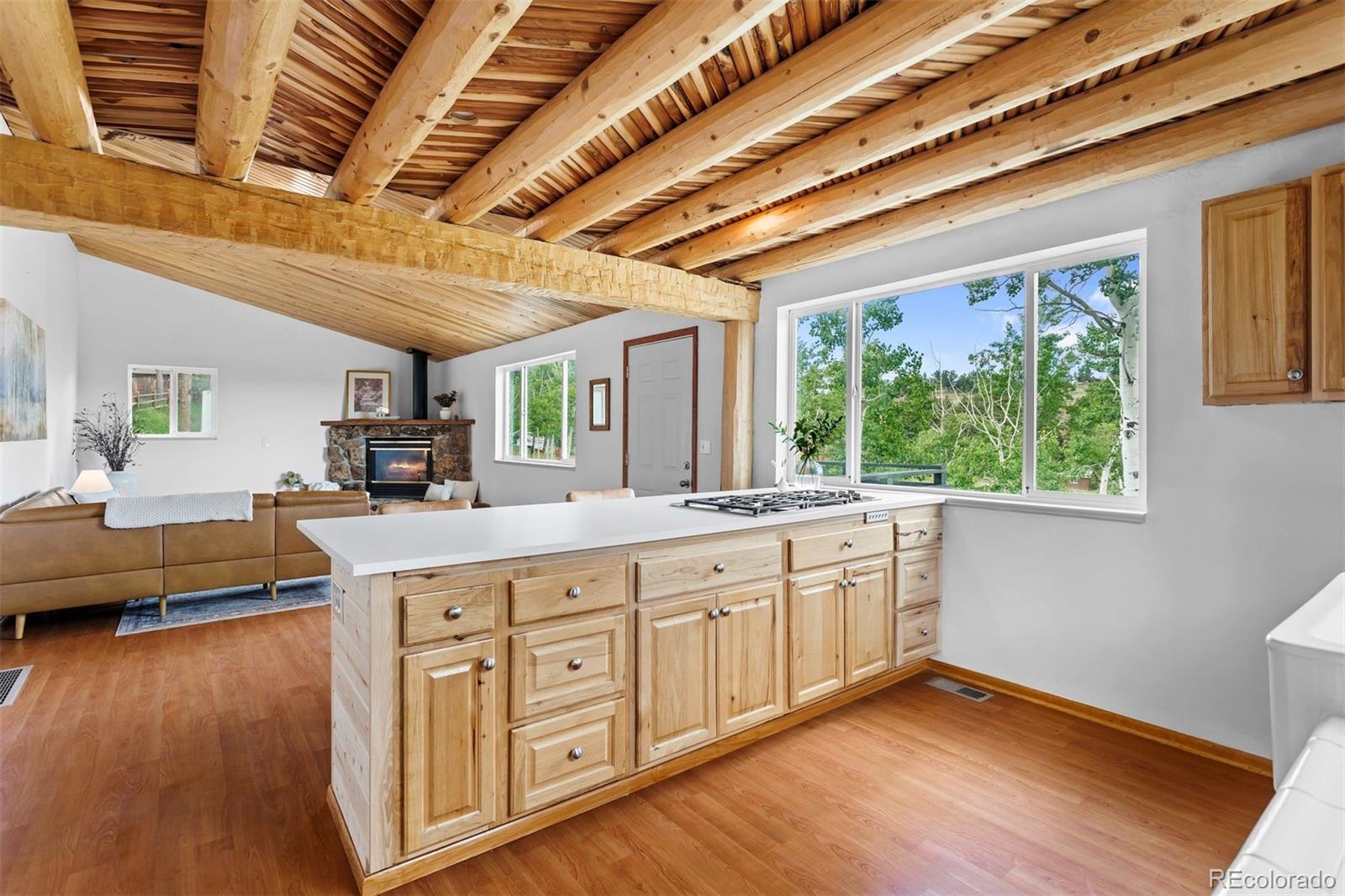 MLS Image #14 for 616 s pine drive,bailey, Colorado