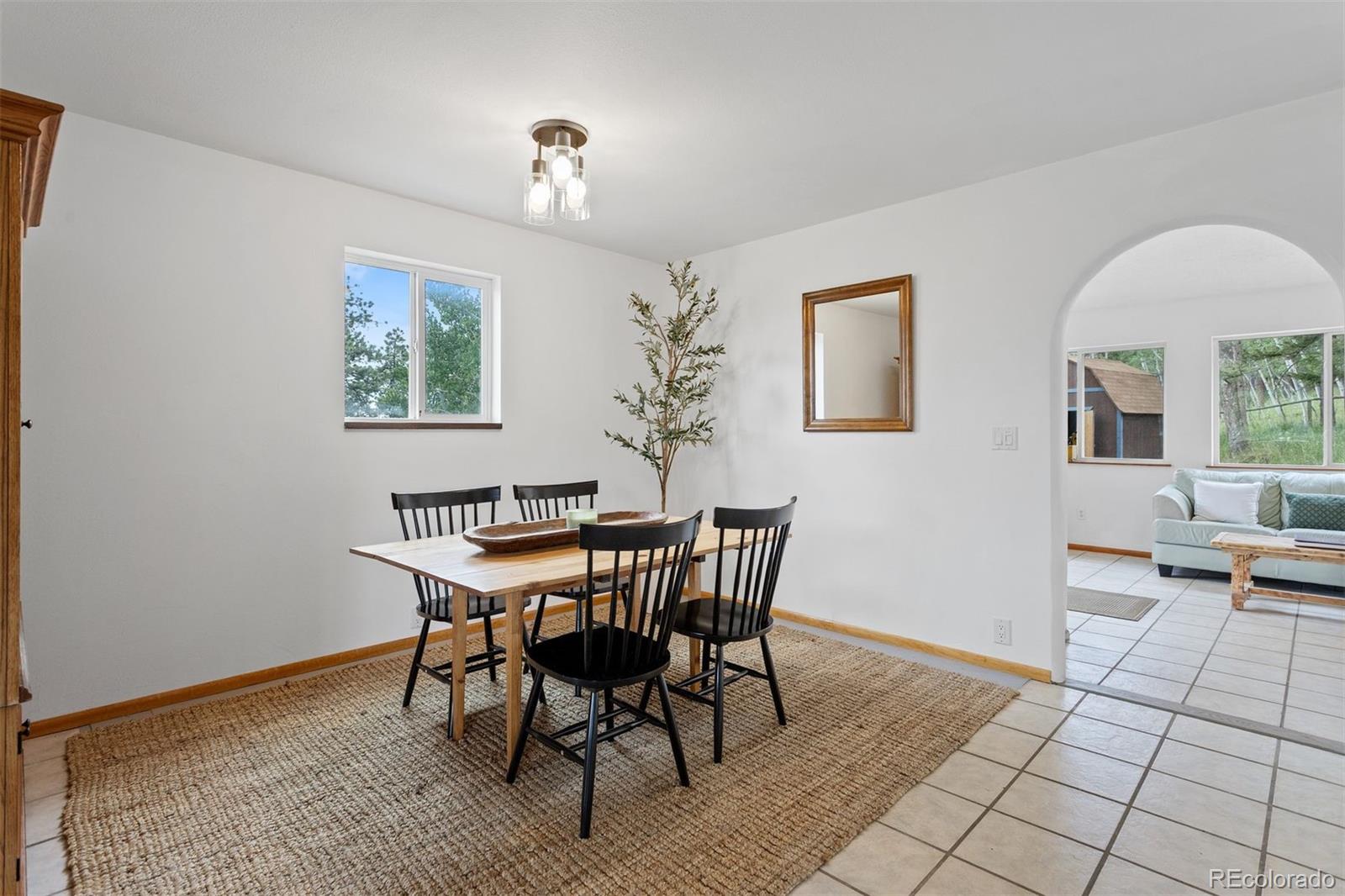 MLS Image #16 for 616 s pine drive,bailey, Colorado