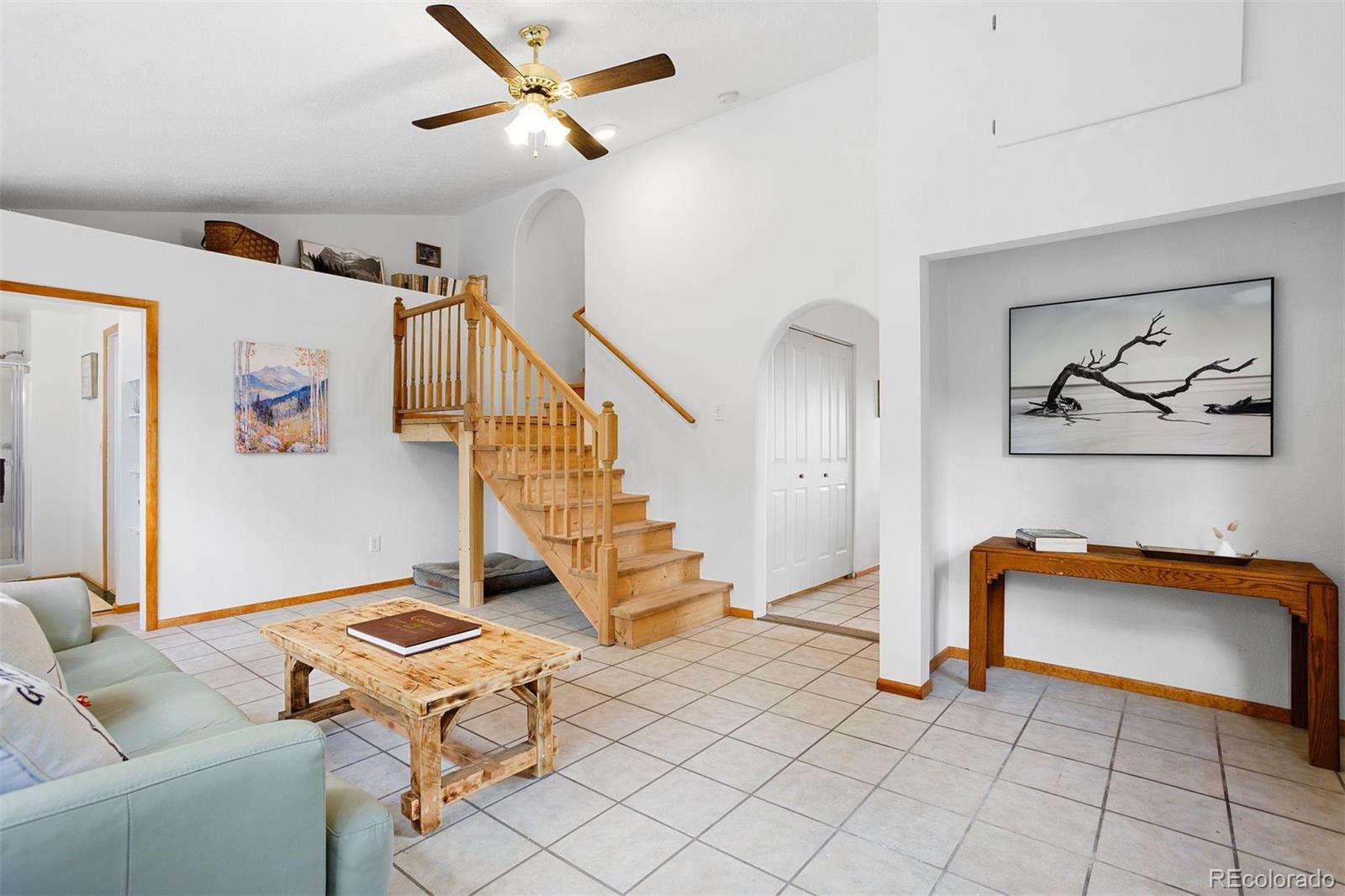 MLS Image #18 for 616 s pine drive,bailey, Colorado