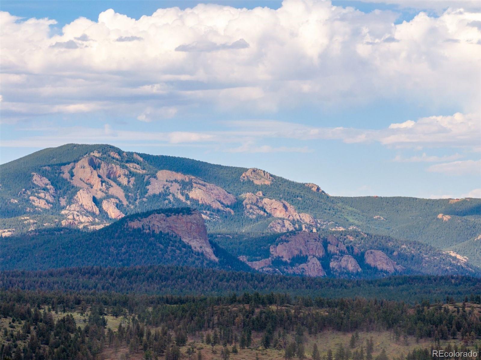 MLS Image #2 for 616 s pine drive,bailey, Colorado