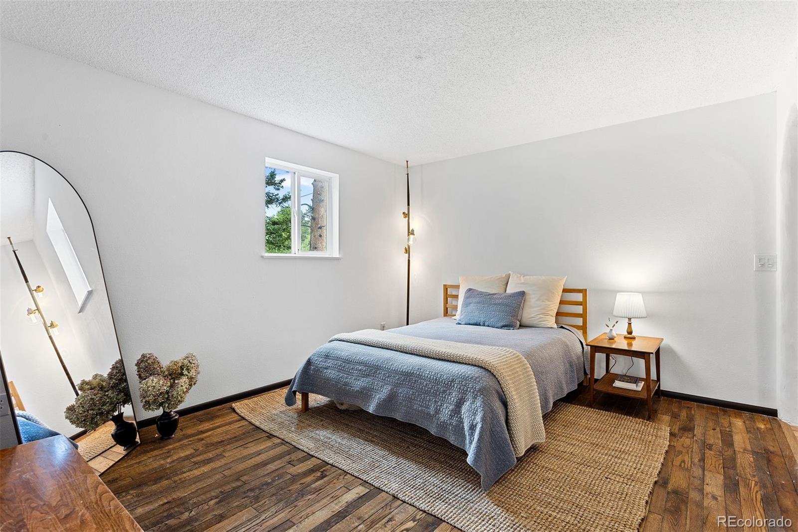 MLS Image #23 for 616 s pine drive,bailey, Colorado