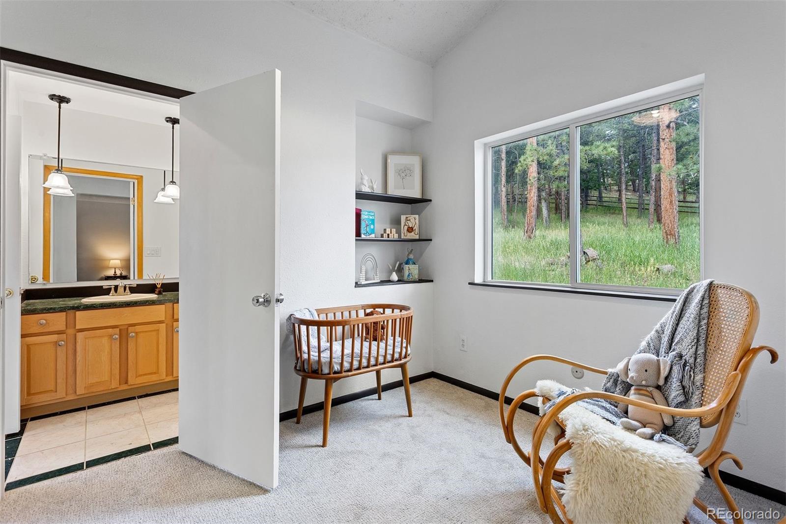 MLS Image #24 for 616 s pine drive,bailey, Colorado